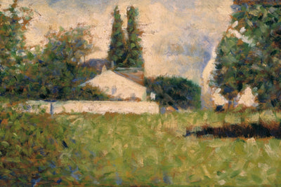 House Among Trees