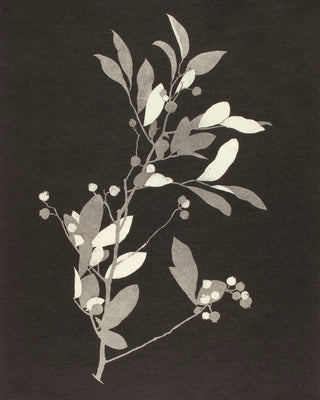 HUCKLEBERRY - Museum Quality Art