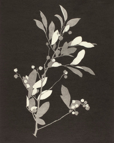 HUCKLEBERRY - Museum Quality Art