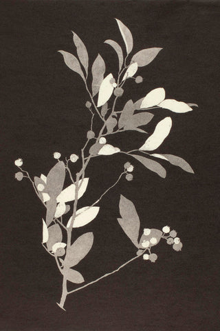 HUCKLEBERRY - Museum Quality Art