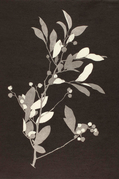 HUCKLEBERRY - Museum Quality Art