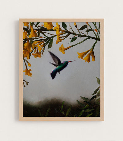 HUMMINGBIRD AT SUNSET - Museum Quality Art