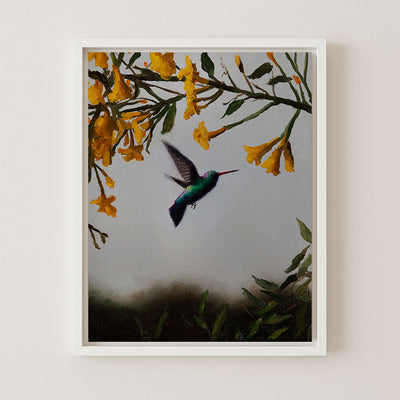 HUMMINGBIRD AT SUNSET - Museum Quality Art