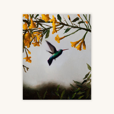 HUMMINGBIRD AT SUNSET — Primary Image