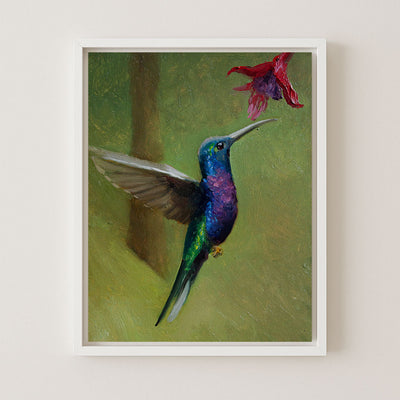 HUMMINGBIRD - Museum Quality Art