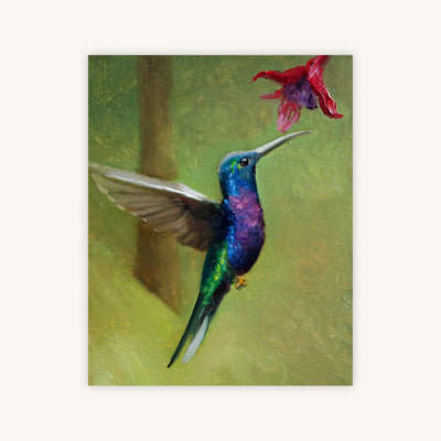 HUMMINGBIRD — Primary Image