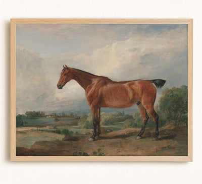 Hunter II