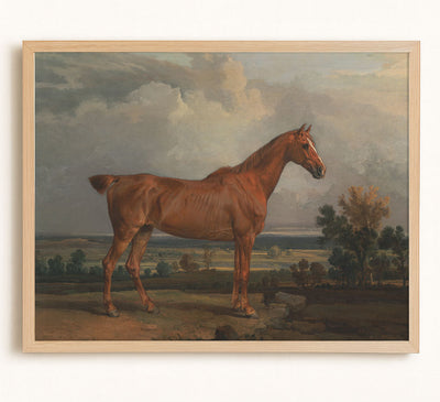 Hunter I