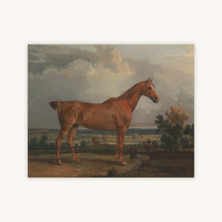 HUNTER I — Primary Image
