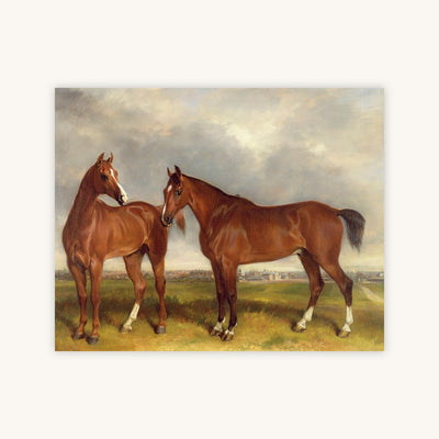 HUNTERS IN A PADDOCK — Primary Image