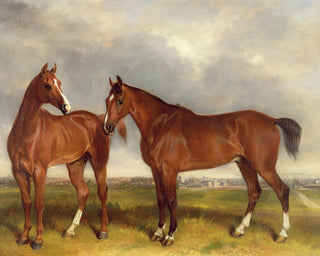 HUNTERS IN A PADDOCK