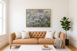 Hydrangeas