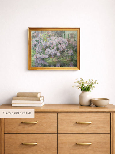 Hydrangeas
