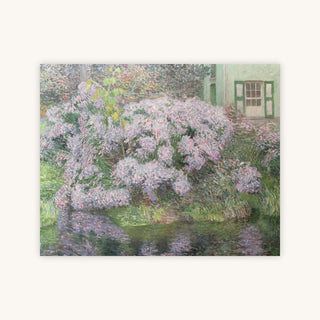 HYDRANGEAS — Primary Image