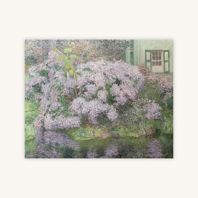 HYDRANGEAS — Primary Image