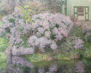 Hydrangeas