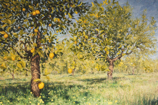 IMPOSSIBILITY OF A LEMON TREE