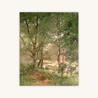 IN A FAIRY WOODLAND — Primary Image