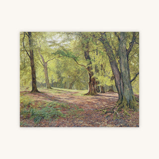 IN THE BEECHWOODS — Primary Image