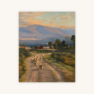 IONA — Primary Image