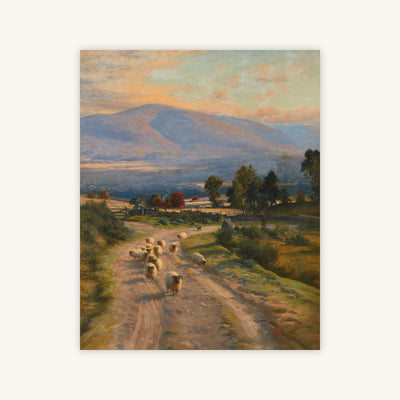 IONA — Primary Image