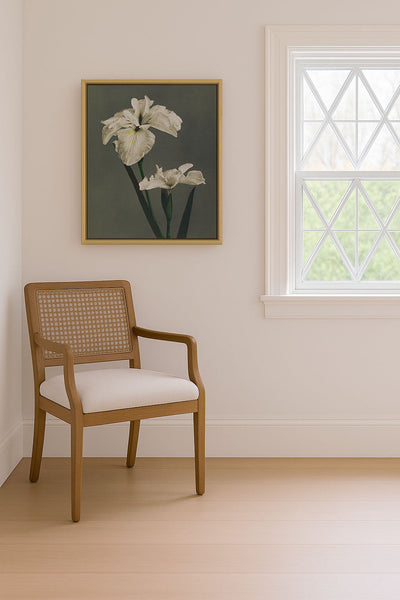 IRIS KAEMPFERI - Museum Quality Art