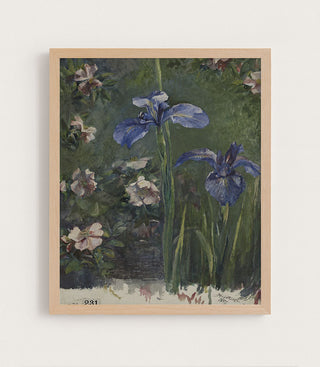 IRIS STUDY - Museum Quality Art