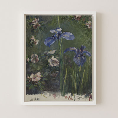 IRIS STUDY - Museum Quality Art