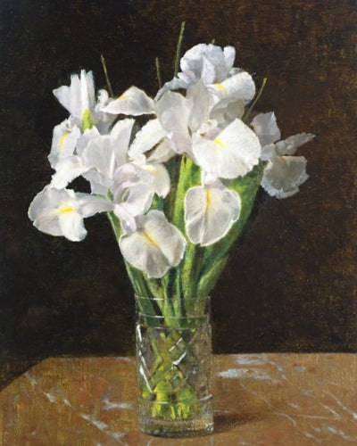 Irises, 1894