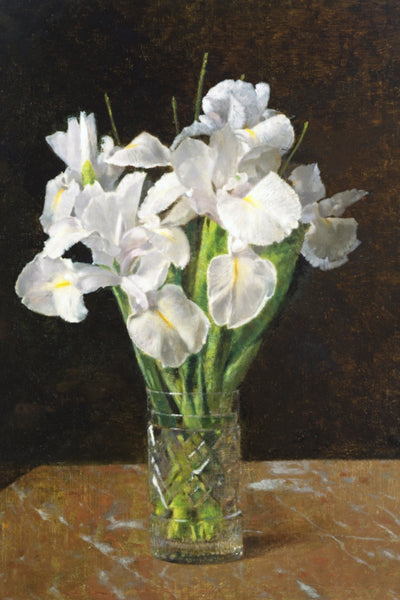 Irises, 1894