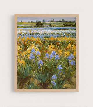 Irises and Burgate Church