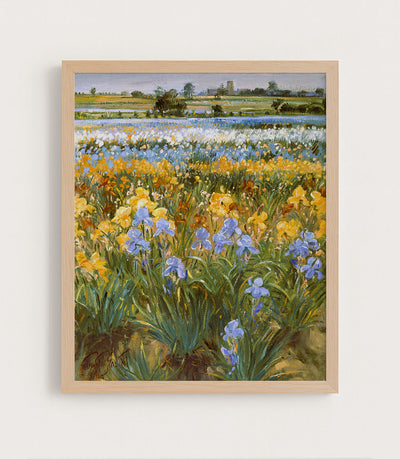 Irises and Burgate Church