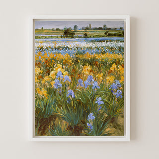 Irises and Burgate Church