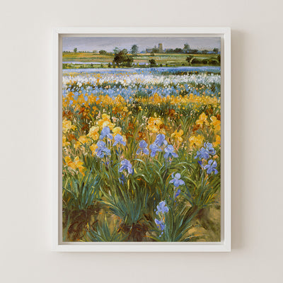 Irises and Burgate Church