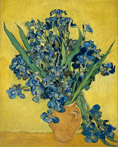 Irises