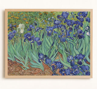 Irises II