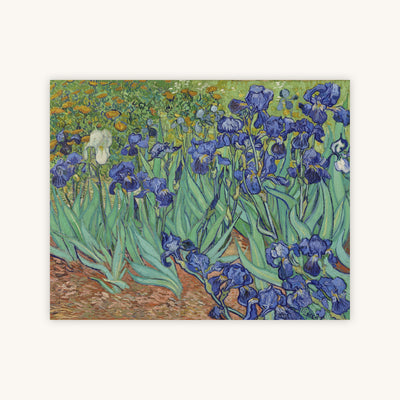 IRISES II — Primary Image