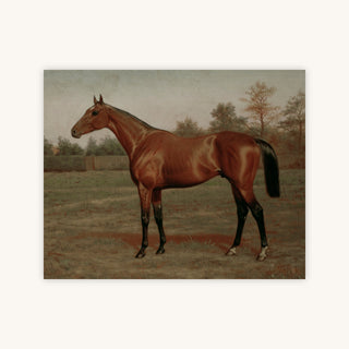 ISINGLASS, TRIPLE CROWN — Primary Image