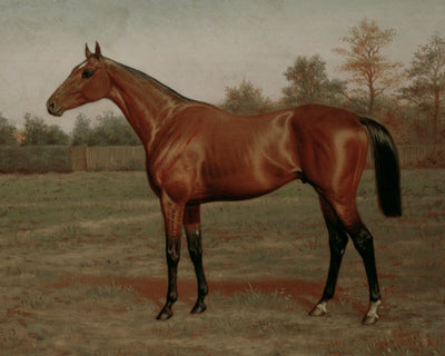 ISINGLASS, TRIPLE CROWN