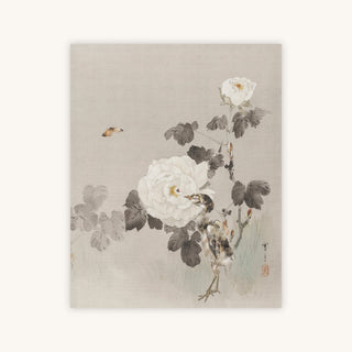 IVORY FLORAL — Primary Image