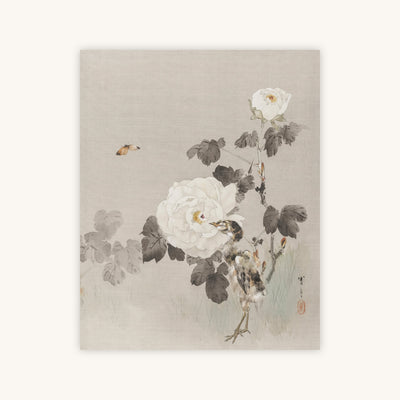IVORY FLORAL — Primary Image