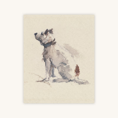 JACK — Primary Image
