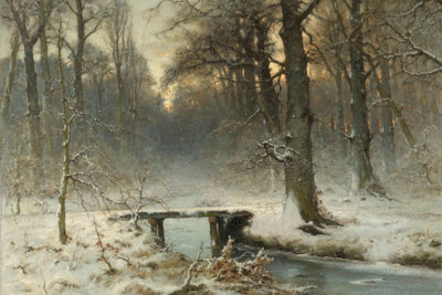 JANUARY EVENING IN THE WOODS