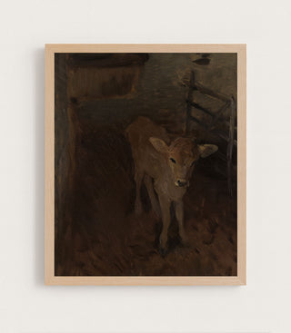 A Jersey Calf