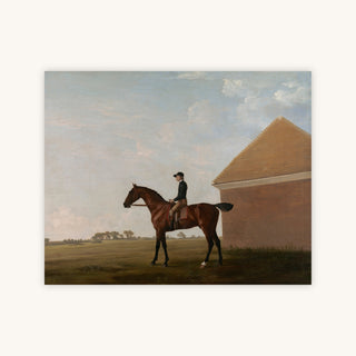JOCKEY UP AT NEWMARKET — Primary Image