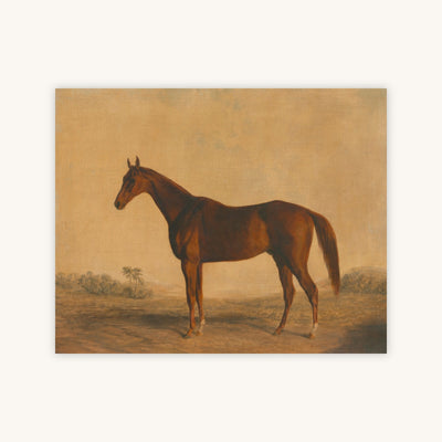 JOHN BASCOMBE — Primary Image