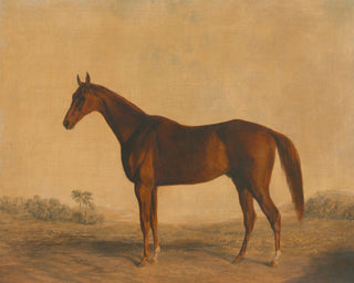 John Bascombe