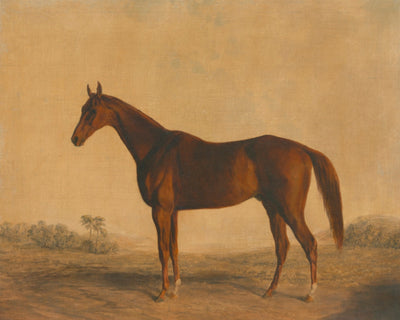 John Bascombe