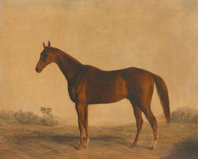 John Bascombe