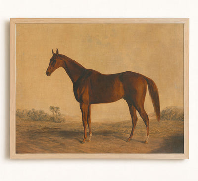 John Bascombe